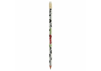 Lpis BIC Evolution Digital Ecolutions
