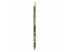 Lpis BIC Evolution Digital Ecolutions