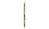 Lpis BIC Evolution Digital Ecolutions