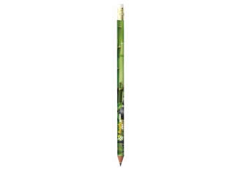 Lpis BIC Evolution Digital Ecolutions