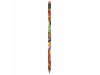 Lpis BIC Evolution Digital Colour Connection Ecolutions