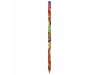 Lpis BIC Evolution Digital Colour Connection Ecolutions