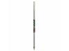 Lpis BIC Evolution Metallic Cut End Ecolutions Digital