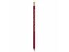 Lpis BIC Evolution Classic Ecolutions 