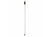 Lpis BIC Evolution Colour Connection Ecolutions