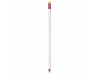 Lpis BIC Evolution Colour Connection Ecolutions