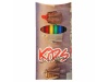 6 canetas de feltro BIC Visa