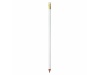 Lpis BIC Evolution Digital Ecolutions
