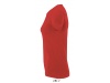 T-SHIRT SENHORA GOLA REDONDA CORES MURPHY WOMEN