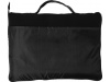 Manta polar