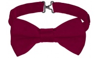 Lao CAPRI