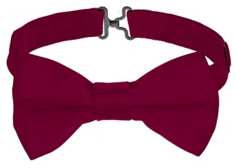 Lao CAPRI