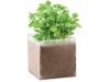 Saco com sementes de manjerico BASIL