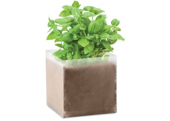 Saco com sementes de manjerico BASIL