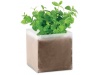 Saco com sementes de menta MINT