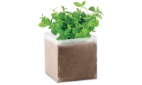 Saco com sementes de menta MINT