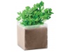 Saco sementes de salsa PARSELY