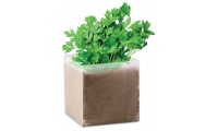 Saco sementes de salsa PARSELY