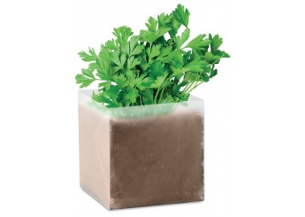 Saco sementes de salsa PARSELY