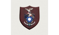 Emblemas Personalizados