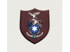 Emblemas Personalizados