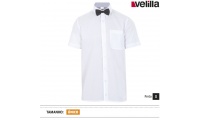 Lao PAPILLON