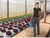 Calas compridas 210gr/m2 ADVANCE Senhora