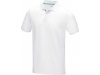 Polo para homem em material orgnico GOTS Graphite