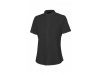 Camisa gola tira stretch manga comprida homem