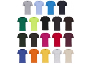 T-shirt BIO150 decote redondo Cores 3XL 4XL 5XL