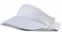 PALA VISOR