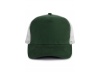 BON TRUCKER 5 PAINIS
