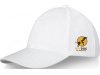 Bon Trucker de 6 painis Drake