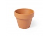 VASO SOLTAX