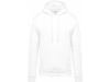 Sweatshirt de homem com capuz