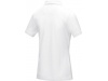 Polo para mulher em material orgnico GOTS Graphite