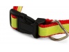 Coleira reflectora para animais de estimao COLLAR MUTTLEY