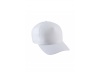 BON TRUCKER 5 PAINIS