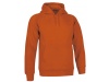 Sweatshirt ARIZONA Adulto