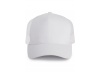 BON TRUCKER 5 PAINIS
