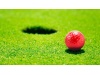 Bola Golf NESSA