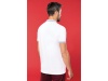 Polo de homem piqu bicolor