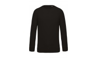 Sweatshirt BIO de homem com decote redondo e mangas raglan