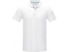 Polo para homem em material orgnico GOTS Graphite