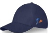 Bon Trucker de 6 painis Drake