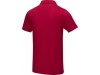 Polo para homem em material orgnico GOTS Graphite