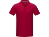 Polo para homem em material orgnico GOTS Graphite