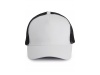 BON TRUCKER 5 PAINIS