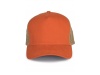 BON TRUCKER 5 PAINIS