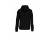 CASACO SWEATSHIRT COM CAPUZ Cores